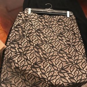 Ann Taylor Skirt